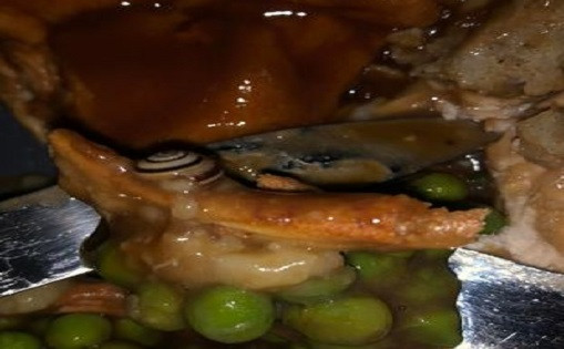 Dat hang, thuc khach khoc thet thay “sinh vat la” nay trong mon an