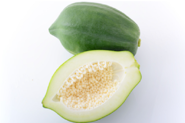 2. Tăng cường hệ miễn dịch: Đu đủ xanh chứa các chất chống oxy hóa quan trọng như saponin, tannin, beta-carotene, magie và flavonoid, giúp duy trì hệ miễn dịch của cơ thể bằng cách tăng mức độ kháng thể IgG và IgM, ngăn mầm bệnh xâm nhập vào cơ thể một cách hiệu quả. Ảnh: scottmathiasraw.com.