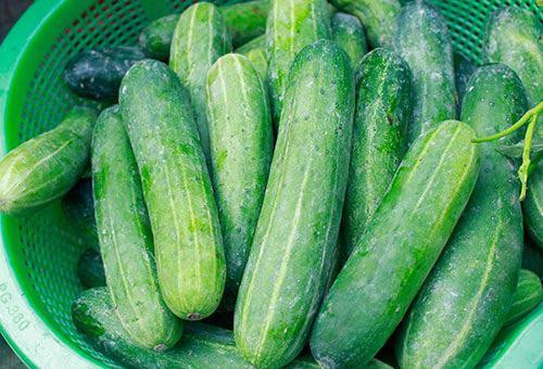 Không chỉ thuốc trừ sâu mà các loại thuốc kích thích tăng trưởng cũng được lạm dụng rất nhiều. Loại thuốc này dễ mua, giá thành rẻ nên nhiều người trồng dưa đã sử dụng để quả dưa trông bắt mắt hơn, dễ bán hơn.