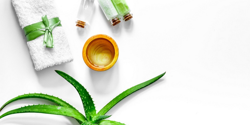 Điều trị bỏng da nhẹ: Lô hội sẽ làm dịu vết bỏng nhẹ và giúp da phục hồi nhanh hơn.