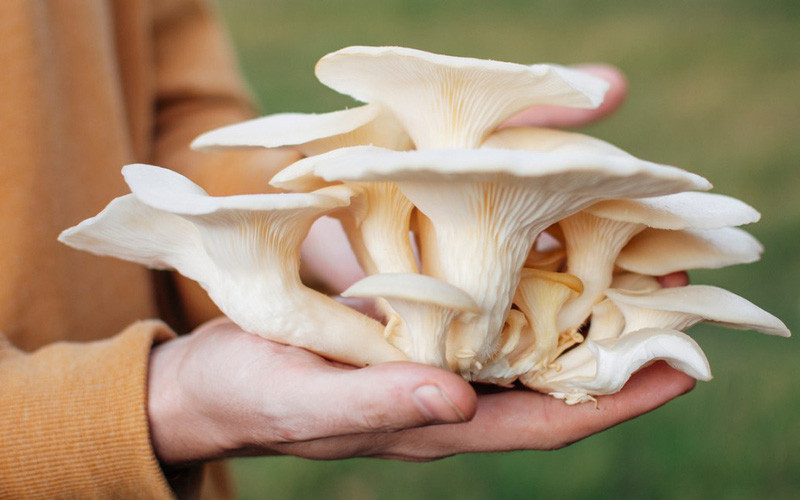 Dù là loại nấm nào đi chăng nữa khi trồng vẫn có nhiều tạp chất, bụi bẩn bám vào nấm, nếu đem nấu ngay có thể không tốt cho sức khỏe người ăn.