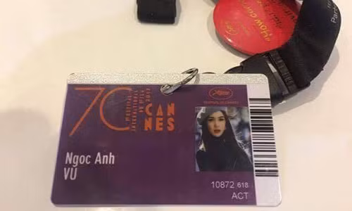 Bi nghi mao danh Ly Nha Ky o Cannes, Vu Ngoc Anh noi gi?-Hinh-2