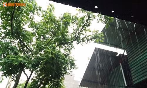 Thoi tiet hom nay 14/6: Ha Noi co mua rao va dong