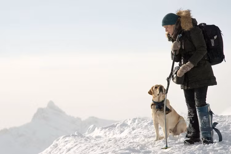 Thật không may, chuyến bay của Ben và Alex gặp sự cố khiến họ bị kẹt lại ở một vùng núi tuyết hoang vắng. Nguồn thức ăn cạn dần, đồng thời phải đối mặt với cái lạnh thấu xương, Ben và Alex gần như chỉ còn con đường chết.