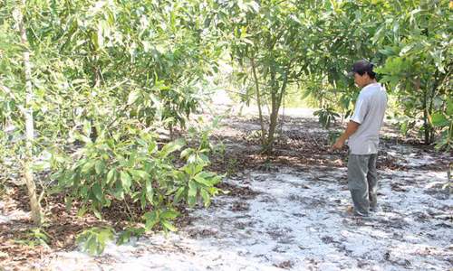 Be gai 8 tuoi thoat chet sau khi bi sam so va nem xuong song