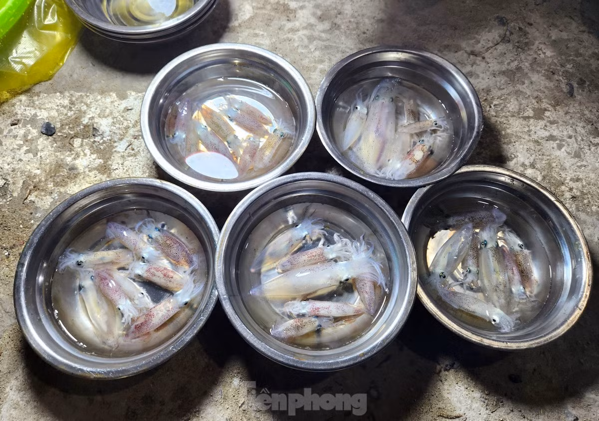 Chị Nguyễn Thị Xuân (phường Thu Thủy, thị xã Cửa Lò) cho biết: "Mực bán ở đây là mực tươi sống, vừa câu dưới biển lên. Chồng con đi câu, vợ đi bán, câu đến lúc nào về thì bán lúc đó thôi". (Ảnh: Tiền Phong).