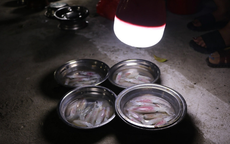 Chị Hoàng Thị Oanh (phường Nghi Thủy, thị xã Cửa Lò) bán mực ở đây được 5 năm, cho biết: "Mực ở đây không bán theo cân mà bán theo mớ, mỗi mớ 50.000-80.000 đồng, tùy vào việc hàng nhiều hay ít. Mỗi đêm gia đình tôi kiếm được khoảng 500.000-700.000 đồng, hôm nào may mắn, câu được nhiều mực kiếm được trên 1 triệu đồng". (Ảnh: Gia đình và Xã hội).