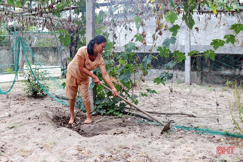Tuy nhiên, từ cuối năm 2011 đến nay, đã hơn 13 năm, dự án mỏ sắt Thạch Khê phải dừng triển khai thực hiện và bỏ hoang. Dù vậy, số phận của mỏ sắt Thạch Khê vẫn đang trong quá trình tranh cãi. Khi phía địa phương muốn chấm dứt dự án còn chủ đầu tư muốn tiếp tục. (Ảnh: Báo Hà Tĩnh).