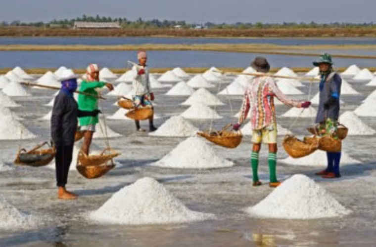 Từ “sushi” có nghĩa là “ vị chua”, phản ánh lịch sử của nó là một loại thực phẩm lên men.