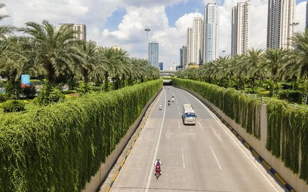 Dải xây xanh phủ kín trên các vách tường của hầm chui Trung Hòa, đoạn Trần Duy Hưng - Đại lộ Thăng Long (Hà Nội).