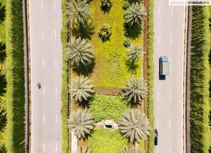 Dải cây xanh mướt kéo dài, rủ xuống trên các vách hầm bê tông cao hàng mét của hầm chui Trung Hòa – cả ở hai chiều Trần Duy Hưng hướng ra Đại lộ Thăng Long và ngược lại.