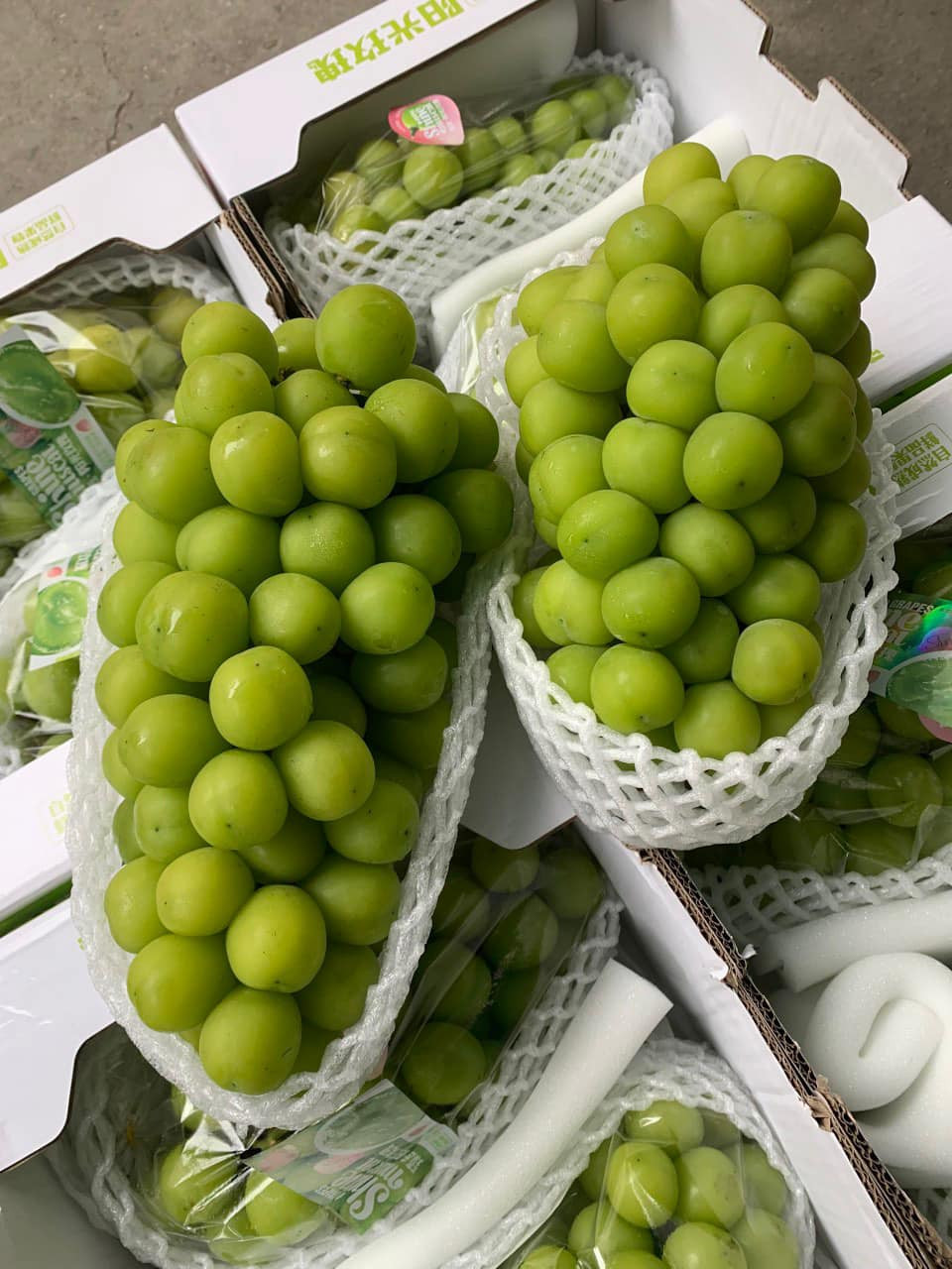 Nho Trung Quốc giá 20.000 đồng/kg tràn ngập chợ Nho Trung Quoc gia 20.000 dong/kg tran ngap cho