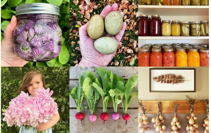 Gia đình Sheride luôn lưu giữ lại những thành quả mà mình thu hoạch được.