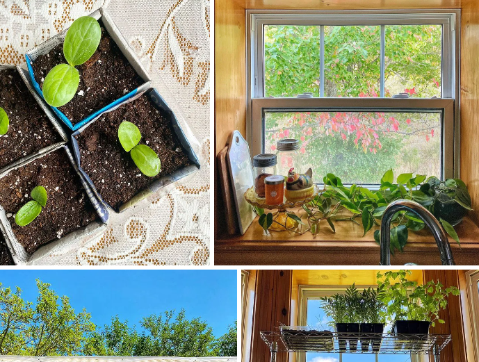 Đến hơn 1 năm sau khi bắt đầu trồng cây, mảnh vườn dần được mở rộng hơn trước hiên nhà, Sheride cùng chồng và 2 cô con gái của mình trồng rất nhiều loại cây mới lạ, còn nuôi cả gà vịt để lấy trứng. Từ khi có vườn, gia đình cô ngày càng gắn kết và có nhiều thời gian vui vẻ bên nhau hơn. Nhất là 2 cô con gái nhỏ rất thích phụ mẹ chăm cây, hái quả và nhặt trứng gà. Điều đặc biệt hơn nữa mà Sheride chia sẻ về 2 cô nhóc nhà mình, đó là "tụi nhỏ thực sự đam mê với vườn, chúng trở nên tò mò với các loại hạt giống và liên tục hỏi mẹ về cách gieo trồng hay chăm sóc. Tôi cũng dần nhận ra rằng, nuôi dưỡng con cái để chúng có một niềm đam mê với điều gì đó thực sự quan trọng, chúng dần mạnh mẽ và trưởng thành hơn theo cách rất bất ngờ!"