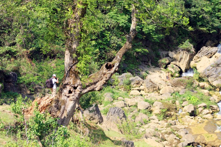 Người dân và du khách thường ghé thăm thác Nặm Trá vào tháng 9. Thời điểm này Cao Bằng bước vào mùa Thu, tiết trời ít mưa, khô ráo và khí hậu cũng vô cùng mát mẻ.