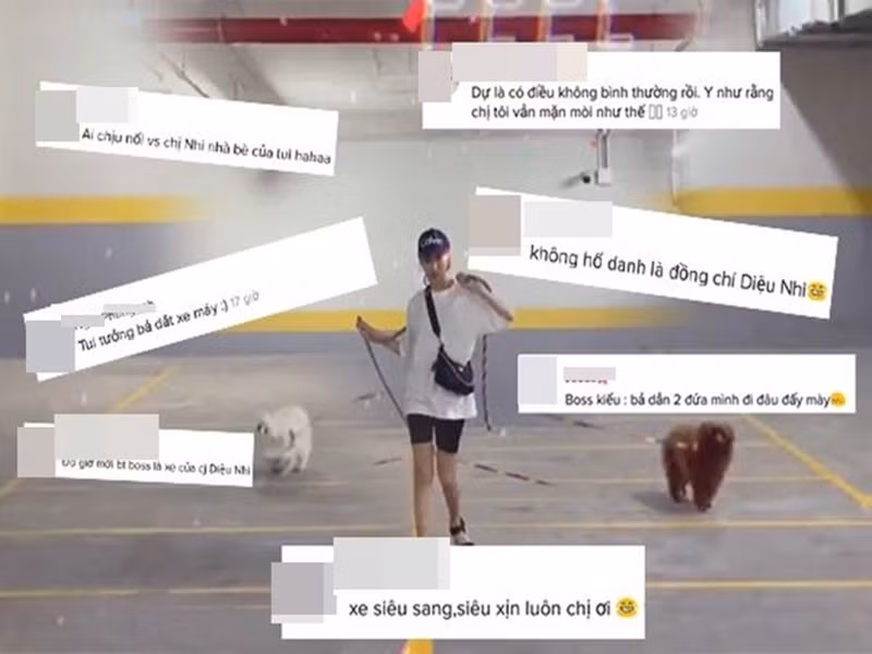 Thay vì siêu xe, nữ diễn viên hài sử dụng hai chú cún cưng. Ảnh: Viez.