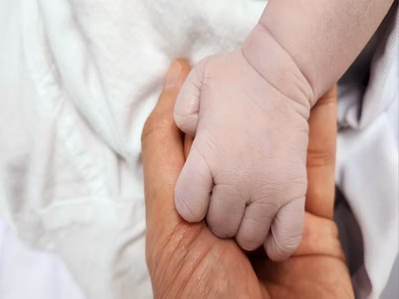 Đúng mùng 2 Tết Nguyên đán 2023, Hồng Nhung sinh con. Ảnh: FBNV.