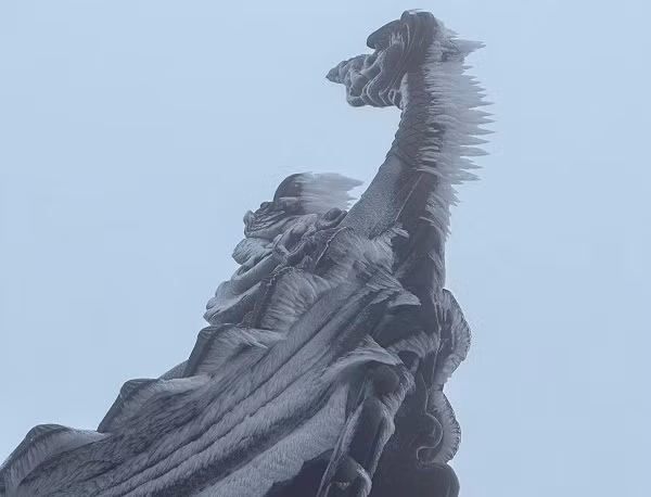 Ret ky luc, chua Dong Yen Tu xuat hien bang gia-Hinh-5