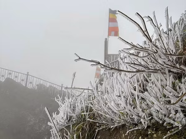 Ret ky luc, chua Dong Yen Tu xuat hien bang gia-Hinh-4