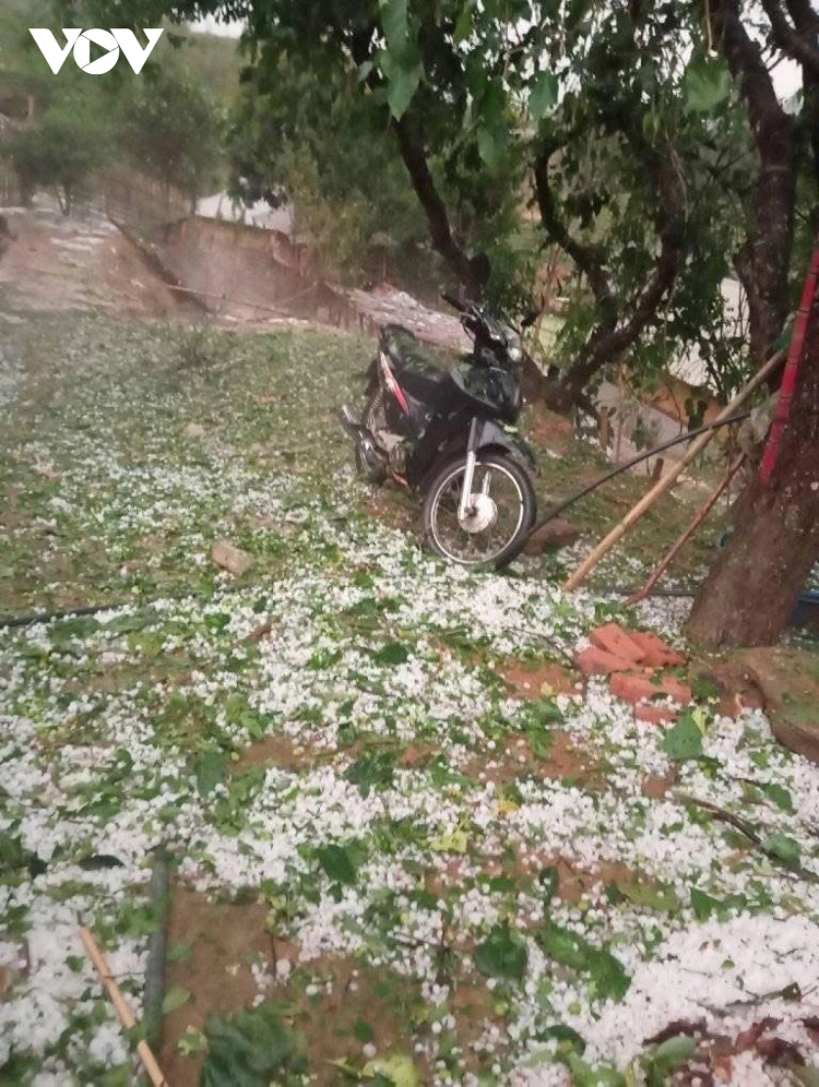 Nguoi dan hoang loan vi mua da, dong loc lam toc mai nha