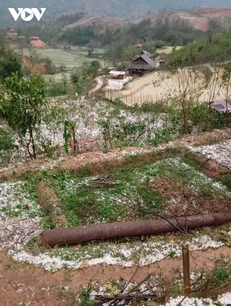 Nguoi dan hoang loan vi mua da, dong loc lam toc mai nha-Hinh-2