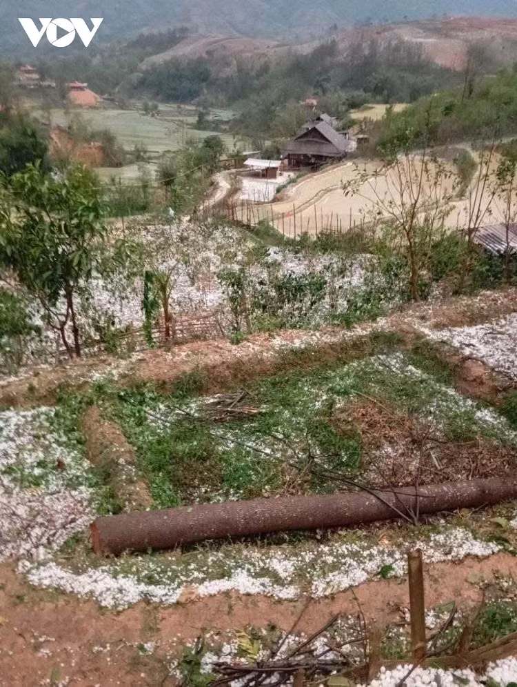 Nguoi dan hoang loan vi mua da, dong loc lam toc mai nha-Hinh-2