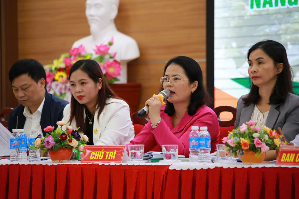 Trồng hồi hữu cơ, thu nhập tăng gấp đôi - Hình 5 Trong hoi huu co, thu nhap tang gap doi-Hinh-5