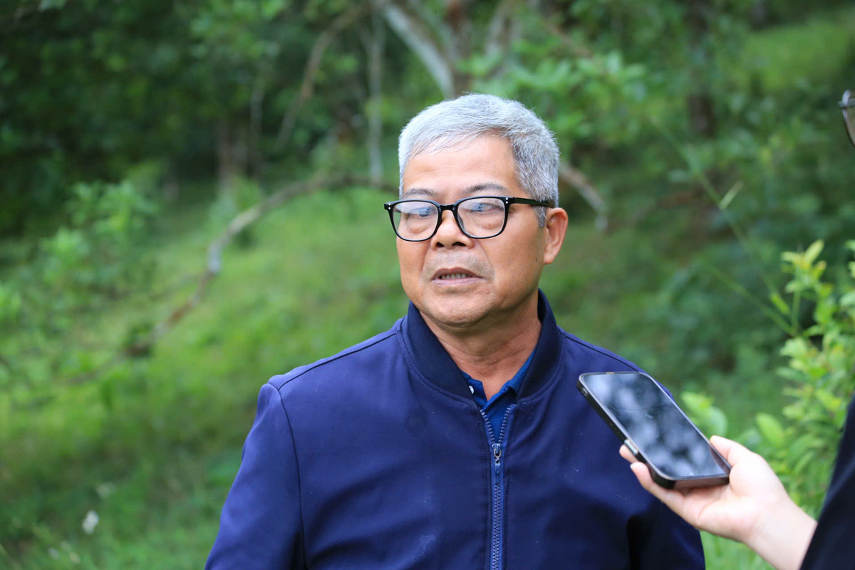 Trồng hồi hữu cơ, thu nhập tăng gấp đôi - Hình 3 Trong hoi huu co, thu nhap tang gap doi-Hinh-3