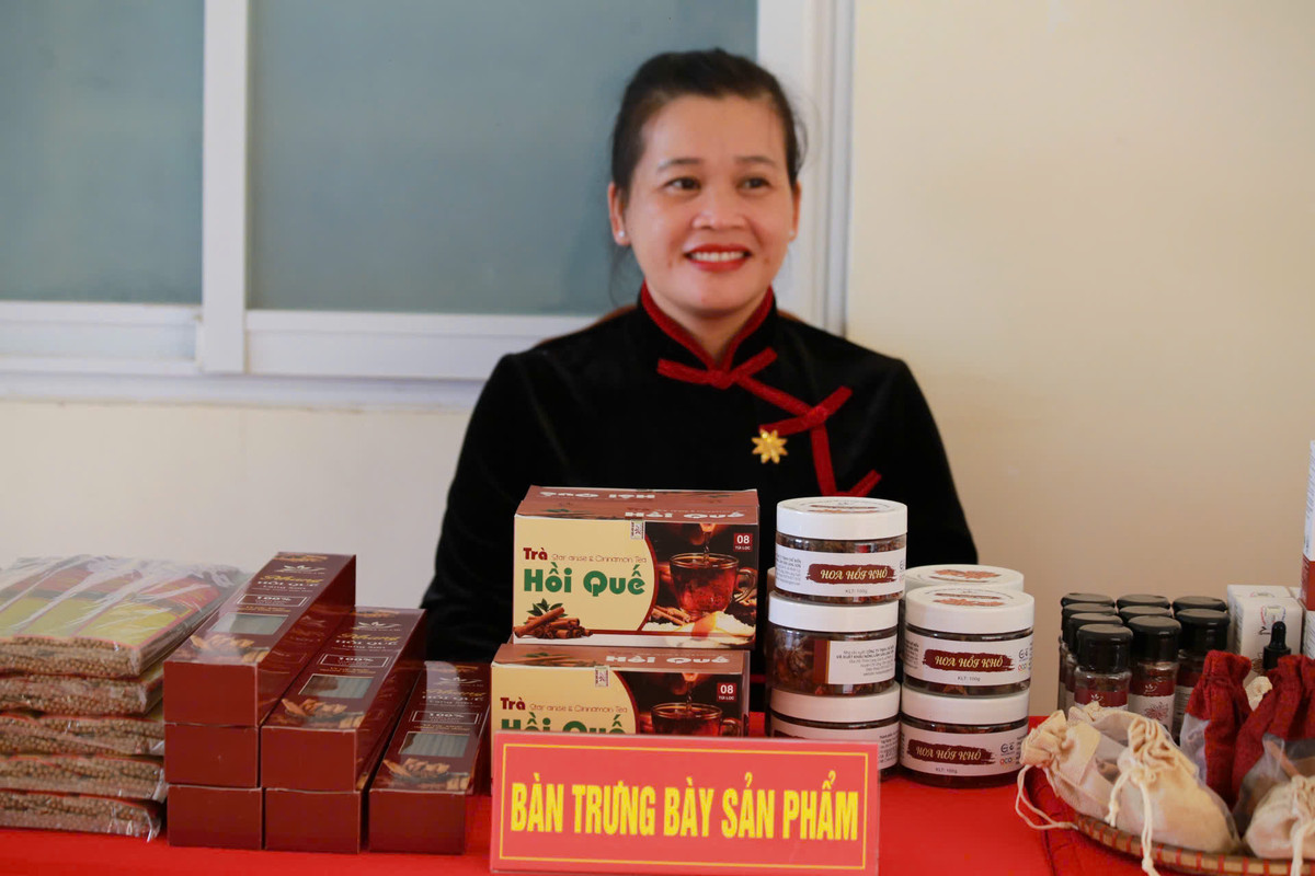 Trồng hồi hữu cơ, thu nhập tăng gấp đôi - Hình 6 Trong hoi huu co, thu nhap tang gap doi-Hinh-6