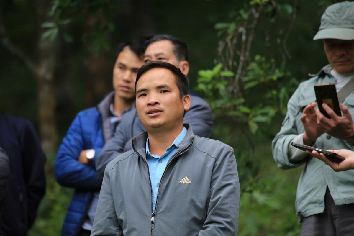 Trồng hồi hữu cơ, thu nhập tăng gấp đôi - Hình 4 Trong hoi huu co, thu nhap tang gap doi-Hinh-4