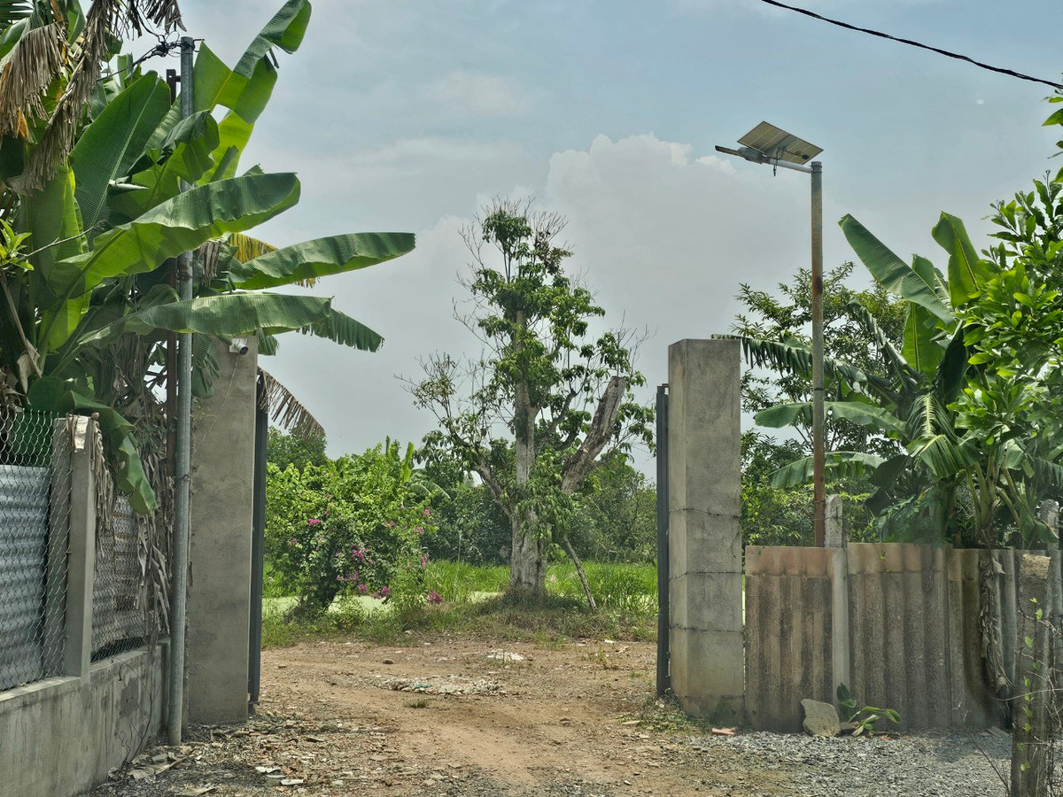 Đồng Nai: TP Biên Hòa mạnh tay xử lý vi phạm đất đai Dong Nai: TP Bien Hoa manh tay xu ly vi pham dat dai