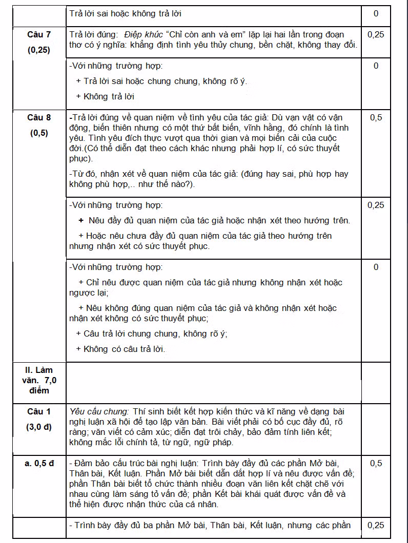 De thi thu THPT quoc gia mon Van nam 2015 va dap an-Hinh-4