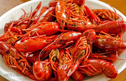 Một nhân viên lâu năm tiết lộ, nhà hàng có thể bán hàng trăm con tôm càng mỗi ngày. Việc dùng bàn chải đánh sạch từng con một là điều khó có thể thực hiện. Quá trình chế biến, đầu bếp không rút chỉ tôm (bộ phận tiêu hóa của tôm), chỉ rửa qua với nước rồi cho vào hấp hoặc chiên dầu.