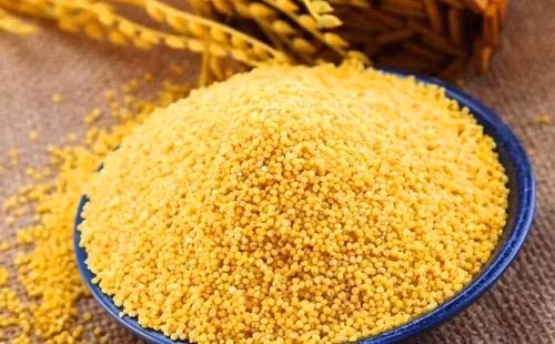 Ăn thứ nhà trồng được, cô gái trẻ bàng hoàng khi mắc ung thư - Hình 2 An thu nha trong duoc, co gai tre bang hoang khi mac ung thu-Hinh-2