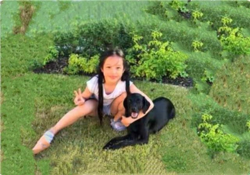 Bé Huỳnh Tân tập trung học hành ở tuổi 15. Ảnh: Nhịp Sống Việt.