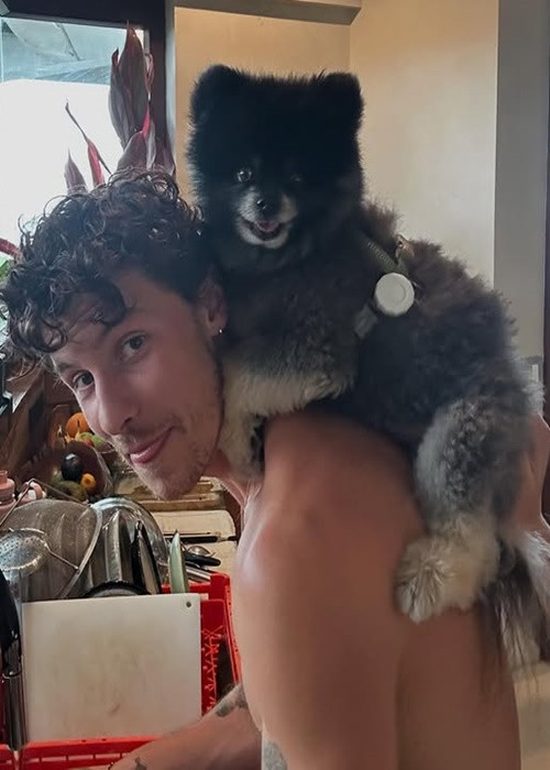 Cuối năm 2024 đầu năm 2025, ca sĩ nhạc sĩ Shawn Mendes du lịch cùng gia đình. Ảnh: Instagram Shawn Mendes.