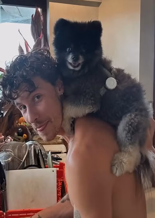 Cuối năm 2024 đầu năm 2025, ca sĩ nhạc sĩ Shawn Mendes du lịch cùng gia đình. Ảnh: Instagram Shawn Mendes.