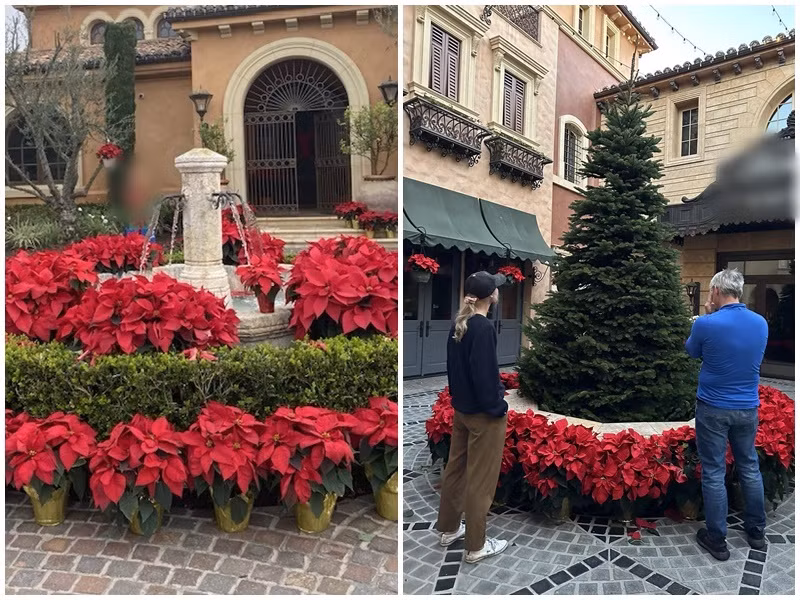 Bích Tuyền cũng khoe diện mạo mới của biệt thự 1.600 tỷ khi thay đổi đài phun nước thành cây thông. "Vợ chồng con cái đều yêu thích cây thông xinh đẹp thay đổi phong thủy đem đến nhiều năng lượng tích cực cho gia đình năm 2025", nữ ca sĩ viết trên trang cá nhân. Ảnh: FB Bích Tuyền.