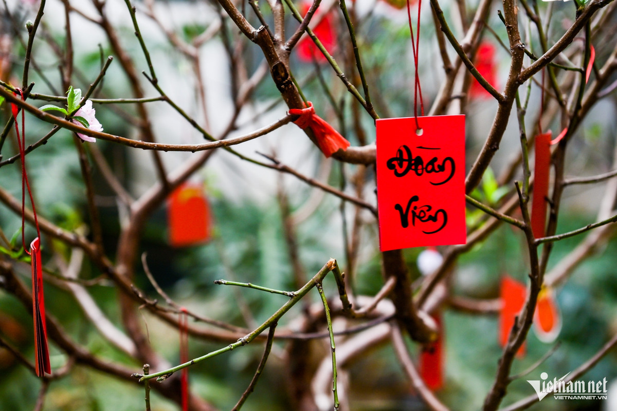 Cây đào ngày Tết cũng được trang trí đậm chất truyền thống