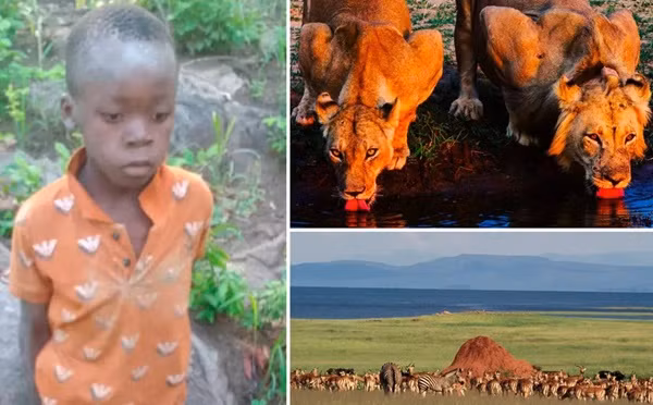 Be trai song sot sau nhieu ngay vao noi co 40 con su tu