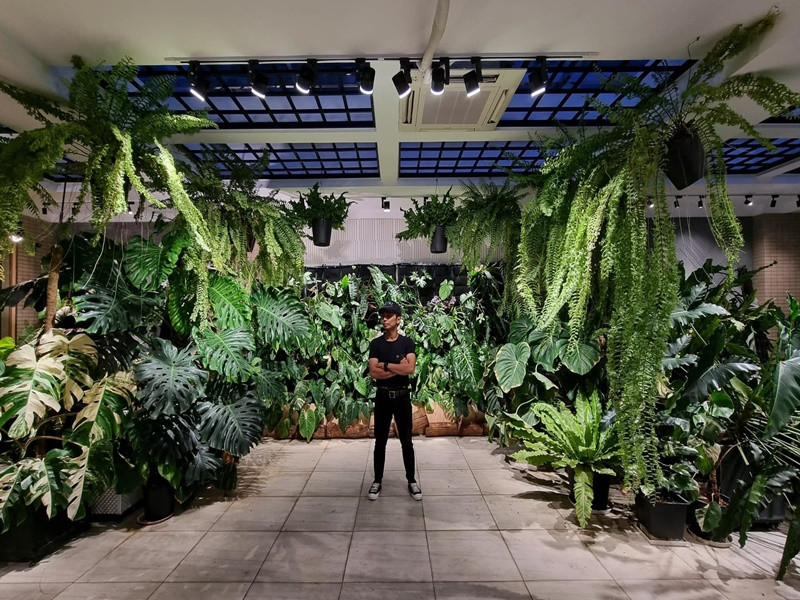 Biệt thự của vợ chồng Khánh Thi có vườn cây cảnh trị giá cả tỷ đồng. Phan Hiển đã trồng kiểng lá, trong đó có nhiều cây đột biến.