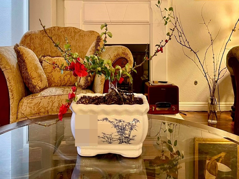 Vợ chồng Diệu Hương mua sắm các loại hoa để trang trí nhà.