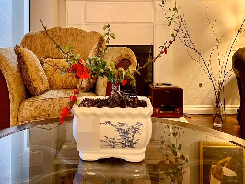 Vợ chồng Diệu Hương mua sắm các loại hoa để trang trí nhà.