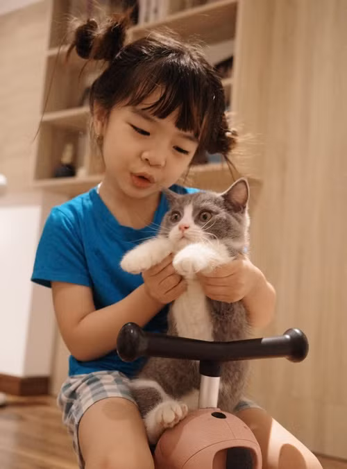 Con gái Trung "Ruồi" càng lớn càng xinh xắn, đáng yêu.