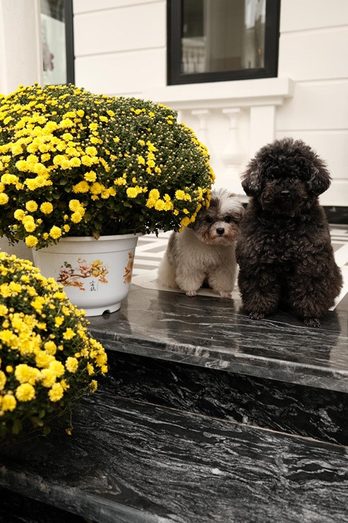 Biệt thự của Huyền My mang tông màu trắng, có 3 tầng, nội thất sang trọng. Ảnh: FB Huyền My.