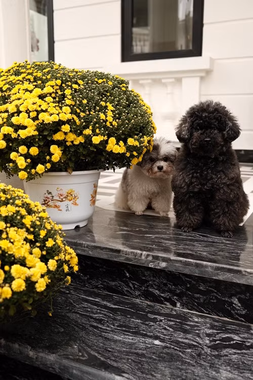 Biệt thự của Huyền My mang tông màu trắng, có 3 tầng, nội thất sang trọng. Ảnh: FB Huyền My.