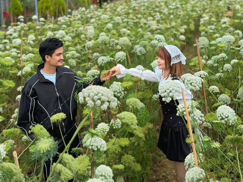 Thể trạng của Thảo Vy khá yếu và khó có con. Vì vậy, Mạc Văn Khoa vỡ òa hạnh phúc khi biết tin Thảo Vy có thai. Trong thời gian Thảo Vy mang bầu, Mạc Văn Khoa chiều chuộng vợ hết mức. Ngoài ra, từng bị cấm cản chuyện yêu đương nhưng từ khi Thảo Vy sinh con, mẹ chồng hết lòng yêu thương cô.