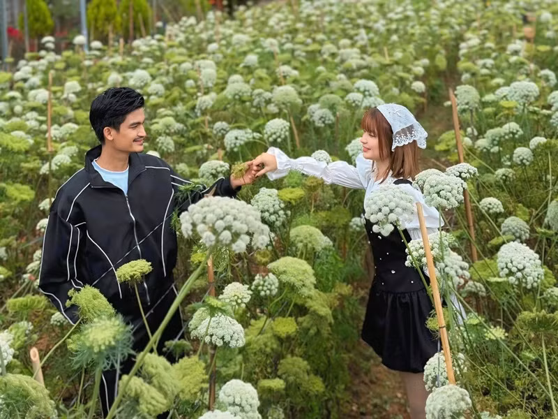 Thể trạng của Thảo Vy khá yếu và khó có con. Vì vậy, Mạc Văn Khoa vỡ òa hạnh phúc khi biết tin Thảo Vy có thai. Trong thời gian Thảo Vy mang bầu, Mạc Văn Khoa chiều chuộng vợ hết mức. Ngoài ra, từng bị cấm cản chuyện yêu đương nhưng từ khi Thảo Vy sinh con, mẹ chồng hết lòng yêu thương cô.