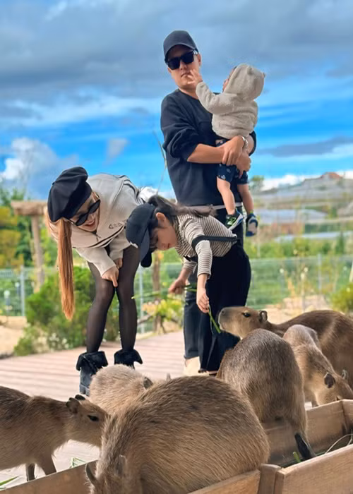 Nữ diễn viên phim Tuổi thanh xuân thường xuyên tham gia các hội thảo về dinh dưỡng, chăm sóc, nuôi dạy con.