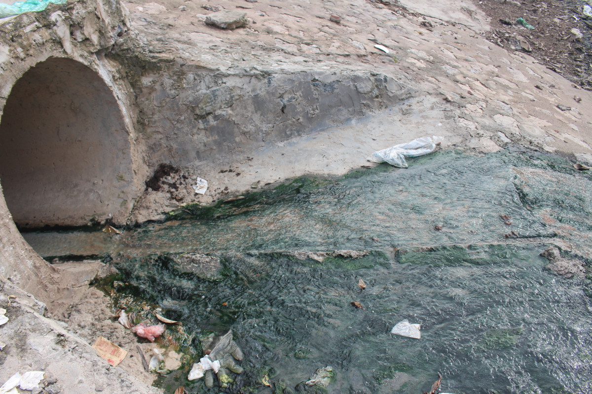 Hầu hết nước thải đổ ra sông Tô Lịch chưa qua xử lý.